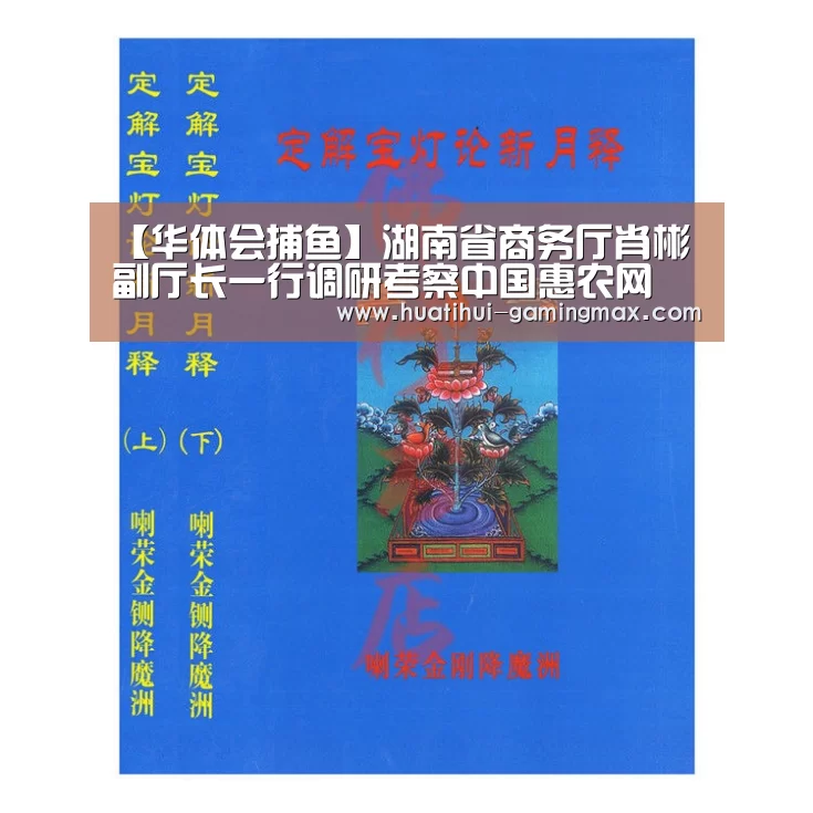 【华体会捕鱼】湖南省商务厅肖彬副厅长一行调研考察中国惠农网(图3) 华体会百家乐