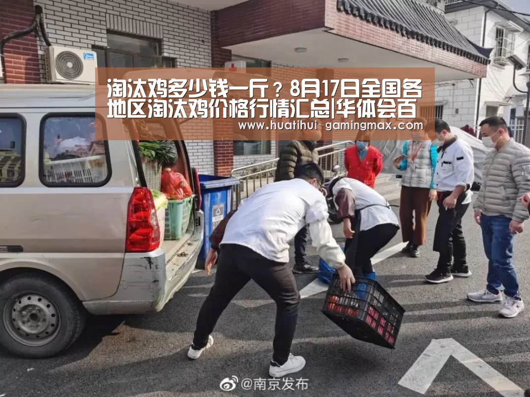淘汰鸡多少钱一斤?8月17日全国各地区淘汰鸡价格行情汇总|华体会百家乐(图1) 华体会捕鱼
