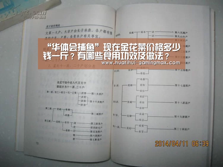 “华体会捕鱼”现在金花菜价格多少钱一斤?有哪些食用功效及做法?(图1) 华体会百家乐