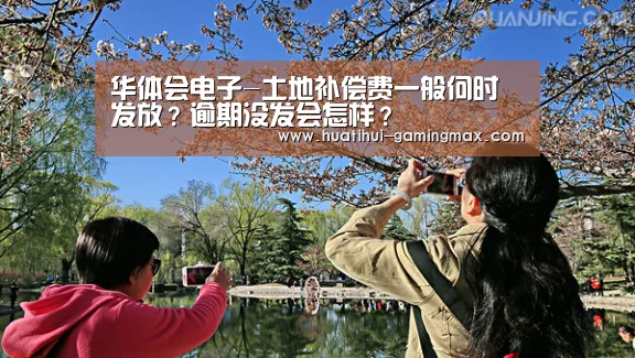 华体会电子-土地补偿费一般何时发放?逾期没发会怎样?(图1) 华体会棋牌游戏