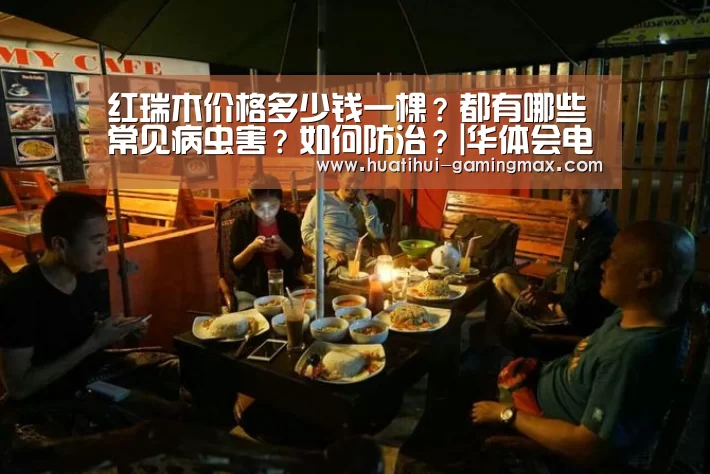 红瑞木价格多少钱一棵?都有哪些常见病虫害?如何防治?|华体会电子(图3) 华体会百家乐