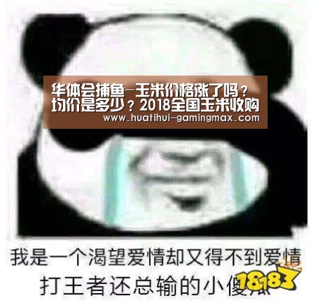 华体会捕鱼-玉米价格涨了吗?均价是多少?2018全国玉米收购价格行情(图1) 华体会捕鱼